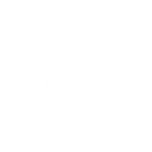 Icon private customers