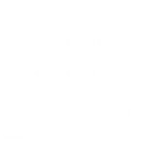 Icon business customers